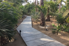 Acre-Cabo-San-Lucas-2017-1