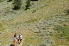 Yellowstone-Summer-2016-71