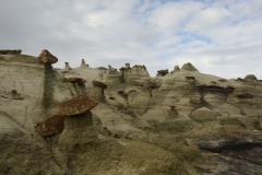 Bisti-Badlands-2016-22-1