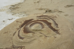 Bisti-Badlands-2016-31-1
