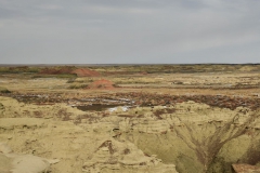 Bisti-Badlands-2016-8-1