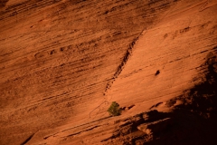 Canyon-de-Chelly-2016-38