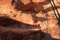 Canyon-de-Chelly-2016-39