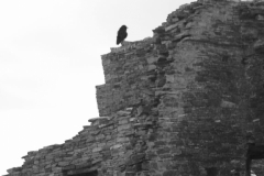 Chaco-Cultural-Center-2016-41