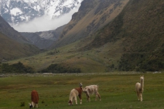 Day-1-Soraypampa-from-Salkantay-Lodge-10
