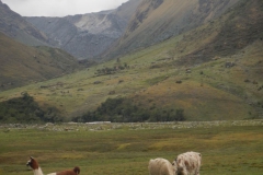 Day-1-Soraypampa-from-Salkantay-Lodge-12