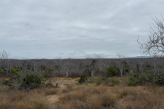 Day-2-Dragon-Hill-and-Rabida-Island-22