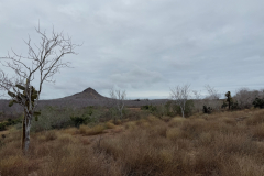 Day-2-Dragon-Hill-and-Rabida-Island-23