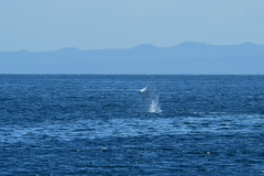 Day-2-Dragon-Hill-and-Rabida-Island-45