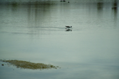 Day-2-Dragon-Hill-and-Rabida-Island-6