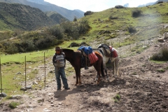 Day-4-Cloud-Forest-Trek-to-Colpa-Lodge-1