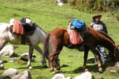 Day-4-Cloud-Forest-Trek-to-Colpa-Lodge-3