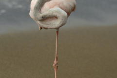 Day-4-Post-Office-Bay-Floreana-Island-14-scaled