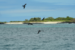 Day-4-Post-Office-Bay-Floreana-Island-5