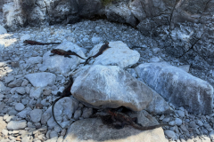 Day-6-Isla-Lobos.-Kicker-Rock-Warlock-Hill-77