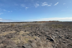 Day-6-Isla-Lobos.-Kicker-Rock-Warlock-Hill-89