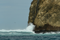 Day-6-Isla-Lobos.-Kicker-Rock-Warlock-Hill-87-1