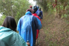 Day-6-Llactapata-Pass-Trek-to-Aguas-Calientes-3