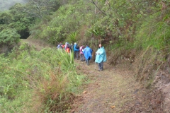 Day-6-Llactapata-Pass-Trek-to-Aguas-Calientes-6