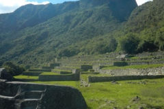 Day-7-Machu-Picchu-Sanctuary-11