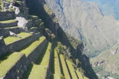 Day-7-Machu-Picchu-Sanctuary-23