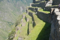 Day-7-Machu-Picchu-Sanctuary-24