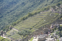 Day-7-Machu-Picchu-Sanctuary-25