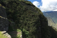 Day-7-Machu-Picchu-Sanctuary-36