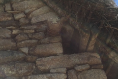 Day-7-Machu-Picchu-Sanctuary-47