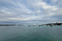 Day-7-Santa-Cruz-Island-21