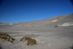 Death-Valley-Christmass-New-Year-2016-17-10