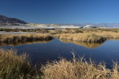 Death-Valley-Christmass-New-Year-2016-17-14