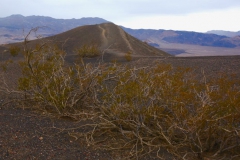 Death-Valley-Christmass-New-Year-2016-17-41