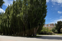 El-Calafate-2025-32