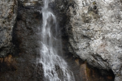 Yellowstone-Fall-2017-107