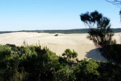 Frazer-Island-2009-46