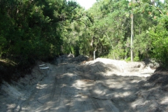 Frazer-Island-2009-56