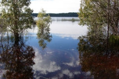 Frazer-Island-2009-9