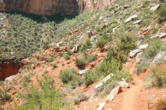 Grand-Canyon-National-Park-Hermits-Rest-Hike-2012-14