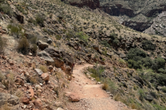 Grand-Canyon-Hike-South-Rim-to-North-2025-25