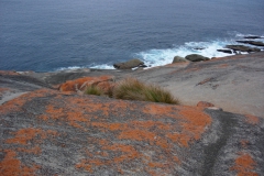Australia-2006-68