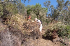 Los-Padres-National-Forest-Santa-Barbara-2009-18