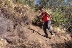 Los-Padres-National-Forest-Santa-Barbara-2009-22