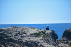 Maine-2017-41