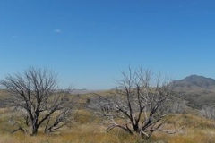 Marfa-2014-12