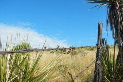 Marfa-2014-5