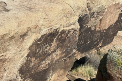 Petrified-Forrest-Road-trip-2025-1