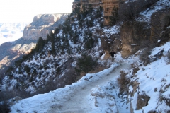 Phantom-Ranch-to-El-Tovar-15