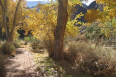 Phantom-Ranch-1
