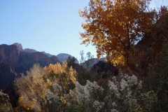 Phantom-Ranch-12
